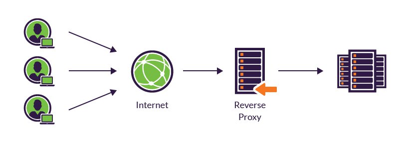 reverse proxy